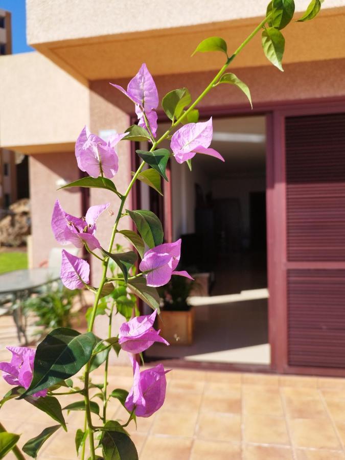 Bed and Breakfast Vivienda Vacacional Compartida Радазул Экстерьер фото